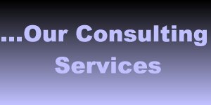About Consulting Services...